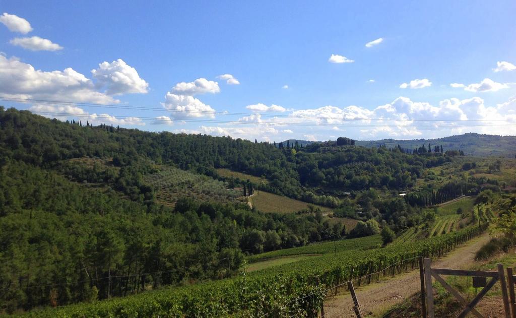 Agriturismo La Camporena Greve in Chianti Exterior foto